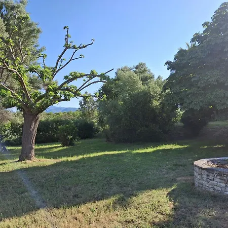 Ensoleillé à Saint-florent Avec Piscine *