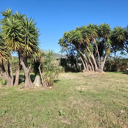 Ensoleille A Saint-florent Avec Piscine Apartment *