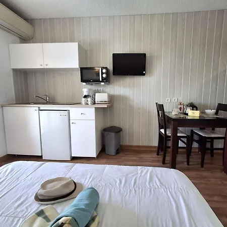 Studio L'Ecrin A St Florent Vue Piscine